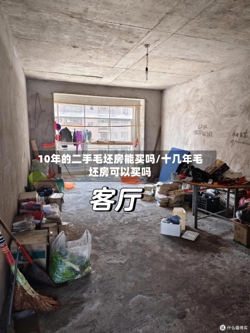 10年的二手毛坯房能买吗/十几年毛坯房可以买吗