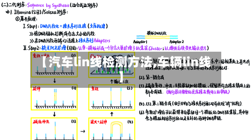 【汽车lin线检测方法,车辆lin线】