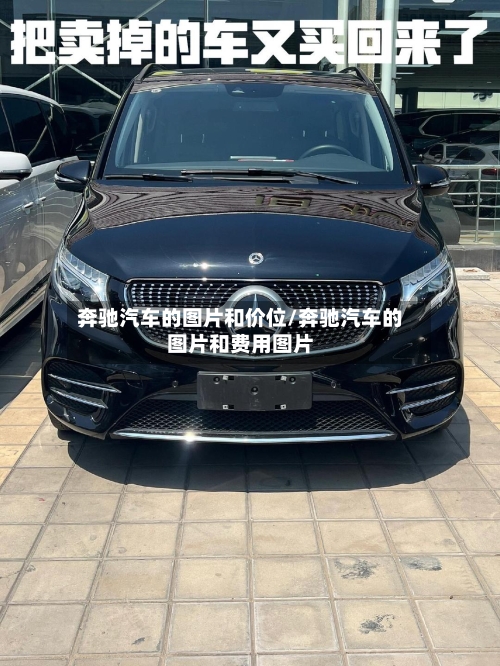 奔驰汽车的图片和价位/奔驰汽车的图片和费用图片-第2张图片