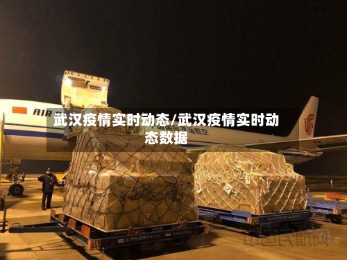 武汉疫情实时动态/武汉疫情实时动态数据