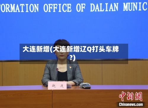 大连新增(大连新增辽Q打头车牌?)