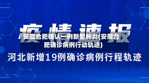 安徽合肥确认一例新型肺炎(安徽合肥确诊病例行动轨迹)-第2张图片