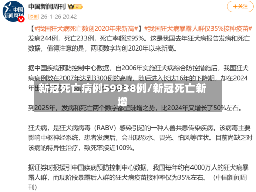 新冠死亡病例59938例/新冠死亡新增-第3张图片