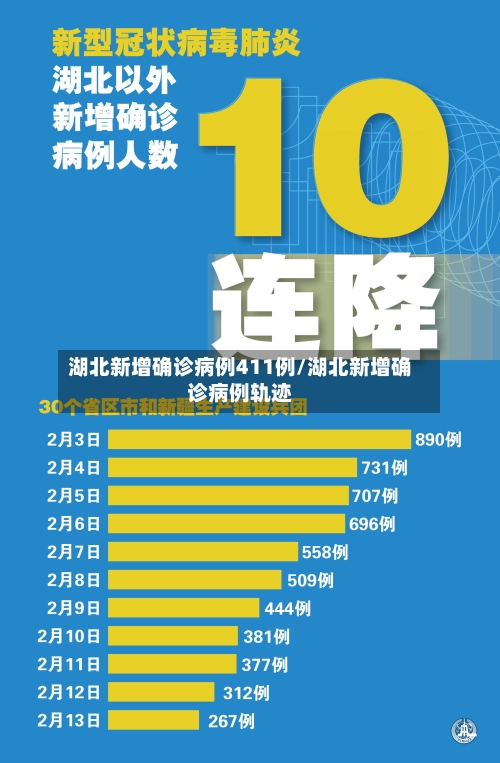 湖北新增确诊病例411例/湖北新增确诊病例轨迹