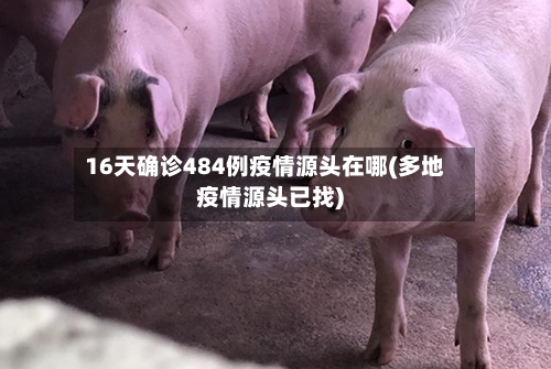 16天确诊484例疫情源头在哪(多地疫情源头已找)-第2张图片