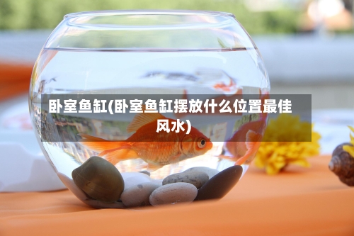 卧室鱼缸(卧室鱼缸摆放什么位置最佳风水)