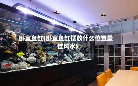 卧室鱼缸(卧室鱼缸摆放什么位置最佳风水)-第3张图片