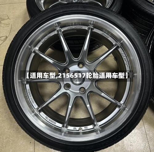 【适用车型,2156517轮胎适用车型】-第2张图片