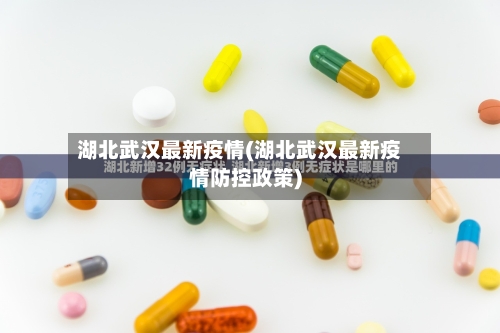 湖北武汉最新疫情(湖北武汉最新疫情防控政策)-第2张图片