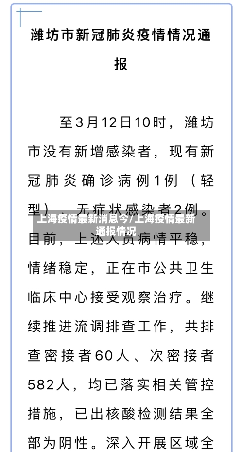 上海疫情最新消息今/上海疫情最新通报情况-第2张图片