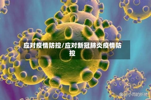 应对疫情防控/应对新冠肺炎疫情防控